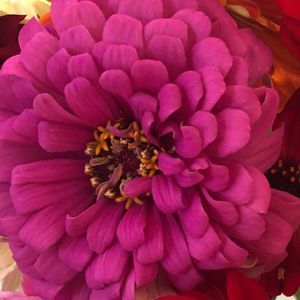 Meet your Posher, Richard